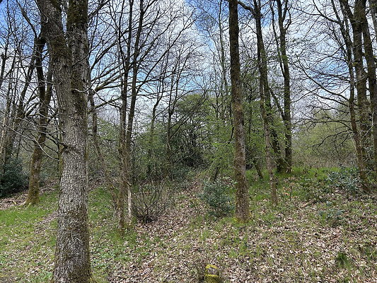 daisynook059 daisynook059