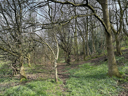 daisynook016 daisynook016