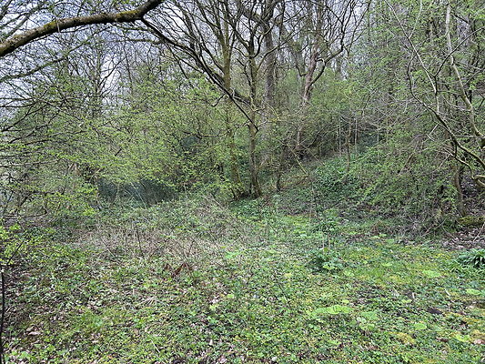 daisynook042 daisynook042