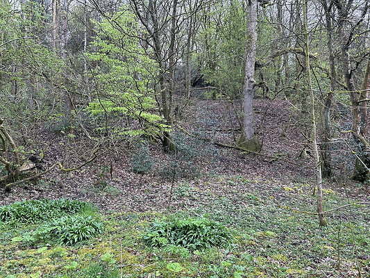 daisynook043 daisynook043