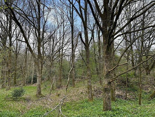 daisynook064 daisynook064