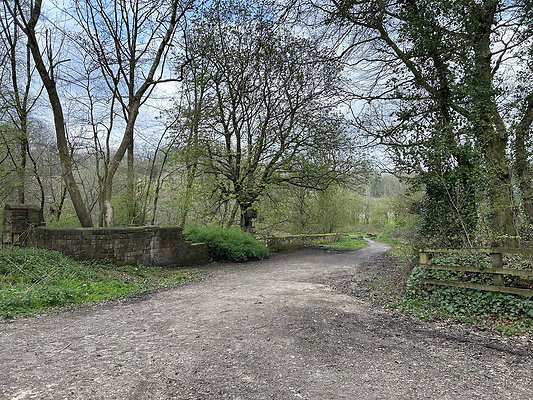 daisynook069 daisynook069