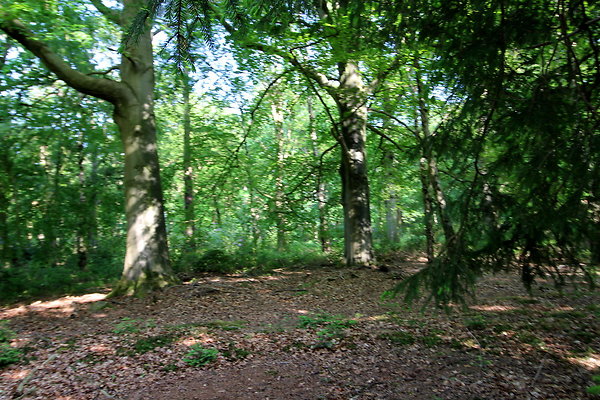 HawardenEstate056