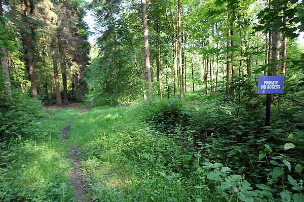 HawardenEstate058