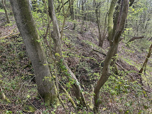 daisynook009 daisynook009