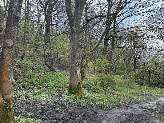 daisynook014 daisynook014