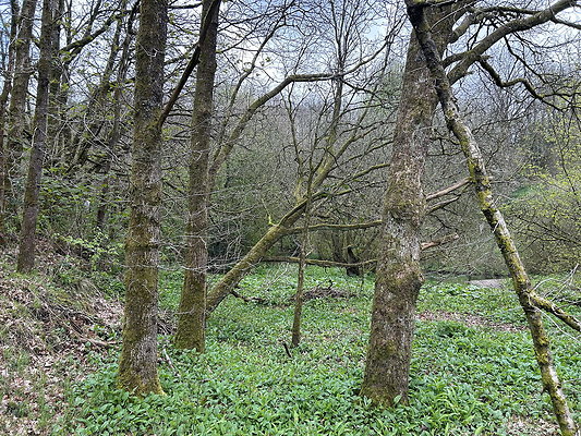 daisynook058 daisynook058