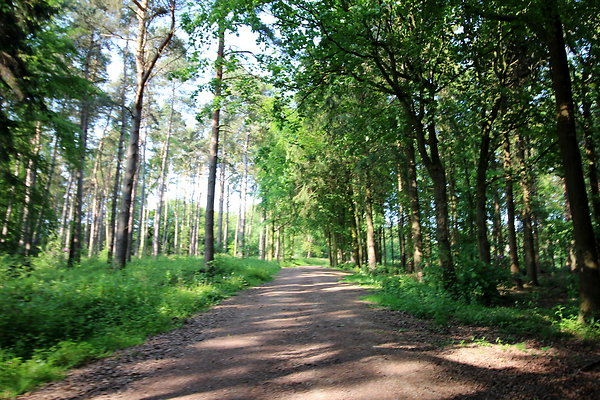HawardenEstate059