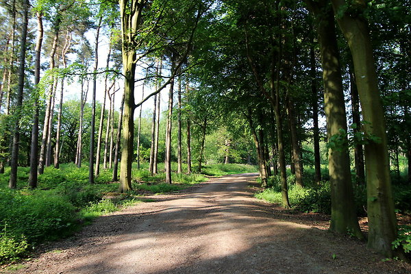 HawardenEstate060