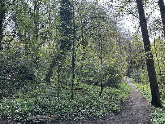 daisynook028 daisynook028