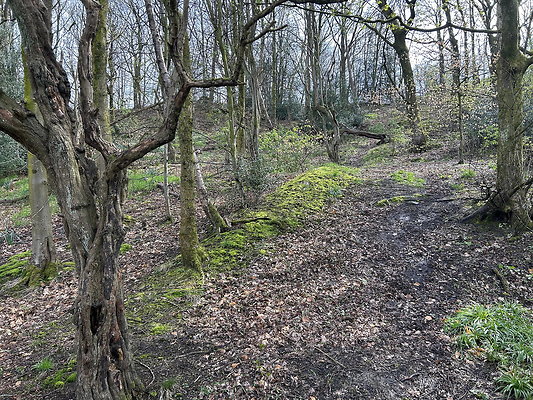 daisynook017 daisynook017