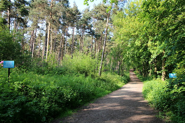 HawardenEstate002