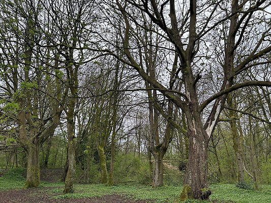 daisynook066 daisynook066