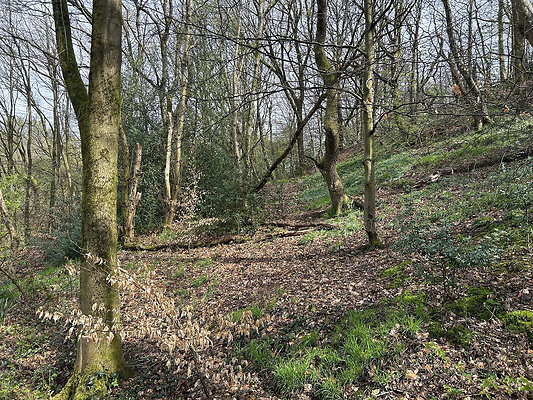 daisynook021 daisynook021