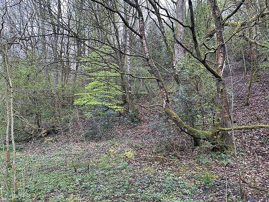 daisynook048 daisynook048