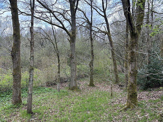 daisynook060 daisynook060