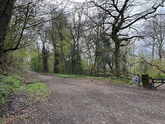 daisynook068 daisynook068