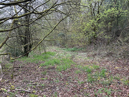 daisynook052 daisynook052