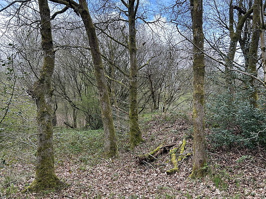 daisynook061 daisynook061