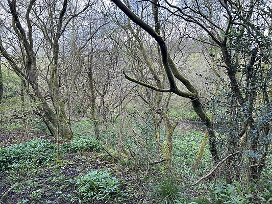 daisynook040 daisynook040