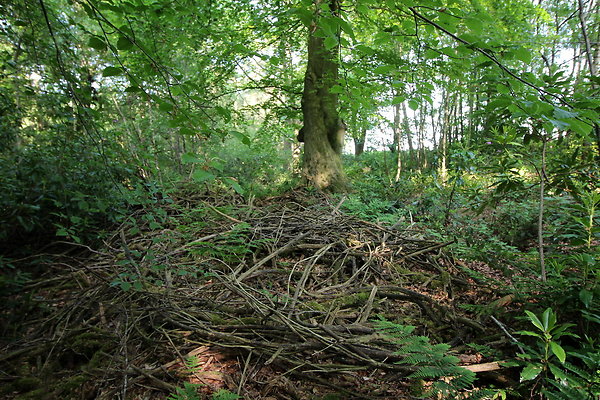 HawardenEstate064 HawardenEstate064