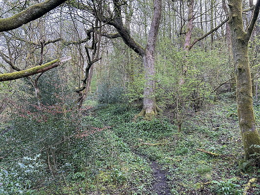 daisynook034 daisynook034