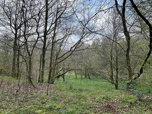 daisynook046 daisynook046