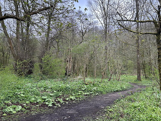 daisynook067 daisynook067