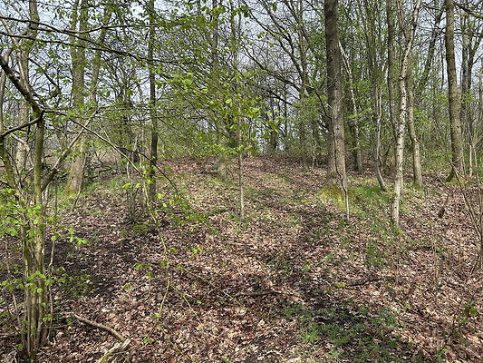 daisynook007 daisynook007