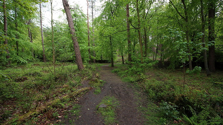 IMG 4766
