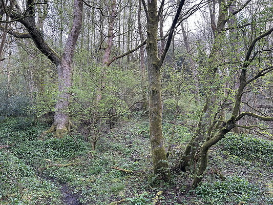 daisynook033 daisynook033