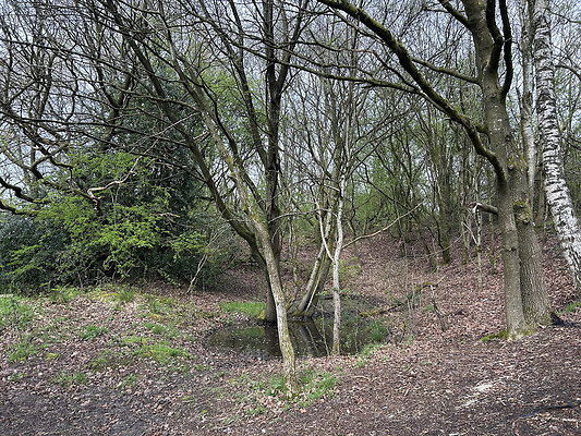 daisynook011 daisynook011