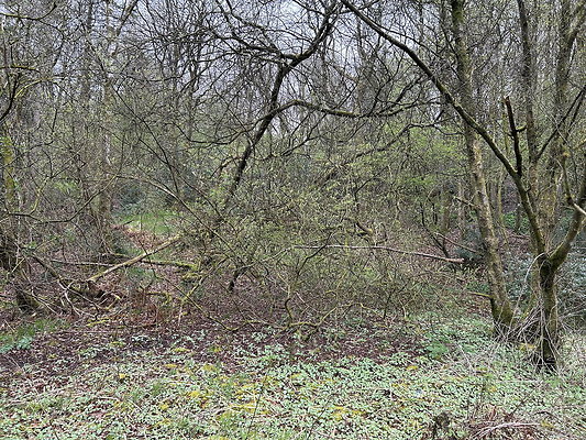 daisynook055 daisynook055