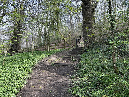 daisynook029 daisynook029