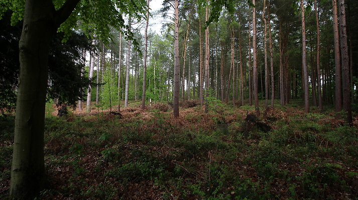 IMG 4716