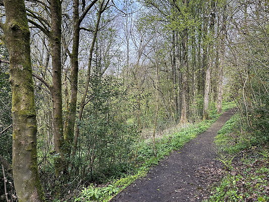 daisynook030 daisynook030