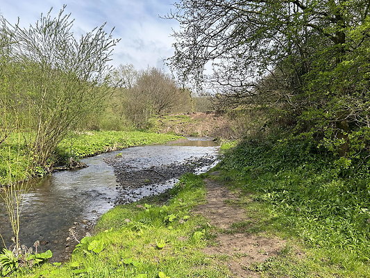 daisynook012 daisynook012