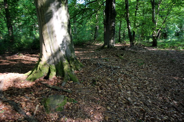 HawardenEstate053