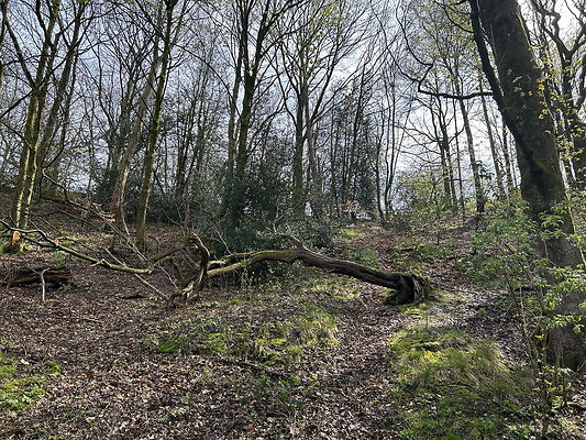 daisynook022 daisynook022