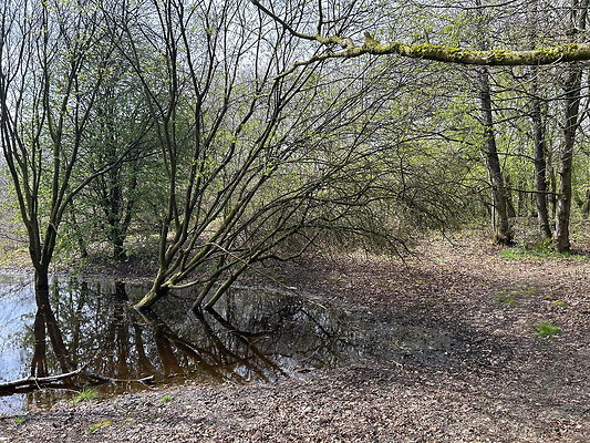 daisynook010 daisynook010