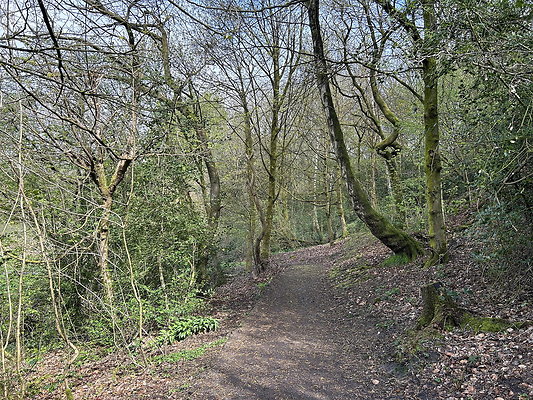 daisynook032 daisynook032