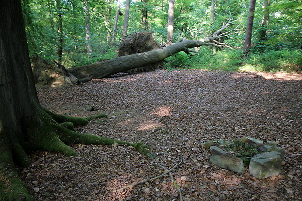 HawardenEstate031