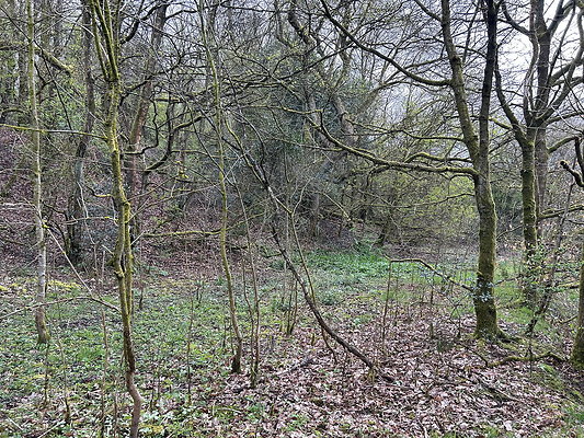 daisynook044 daisynook044