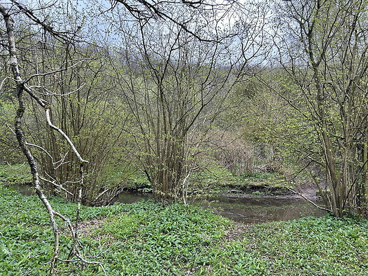 daisynook062 daisynook062