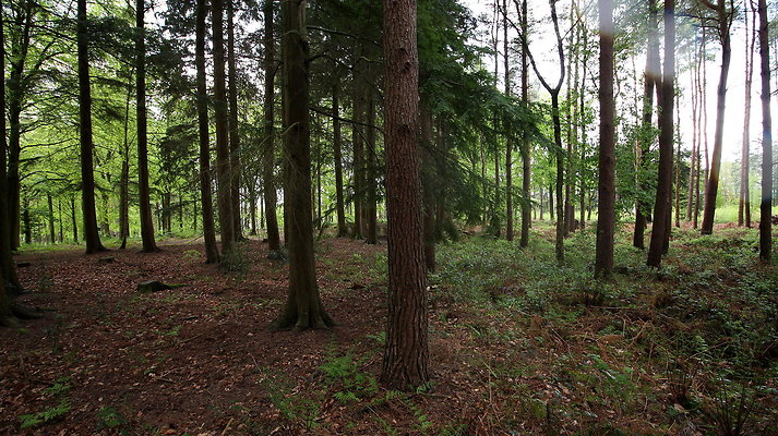 IMG 4734