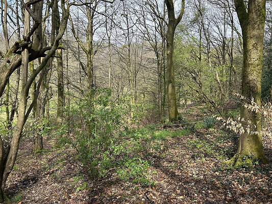 daisynook020 daisynook020