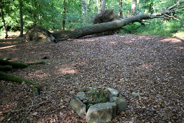 HawardenEstate036