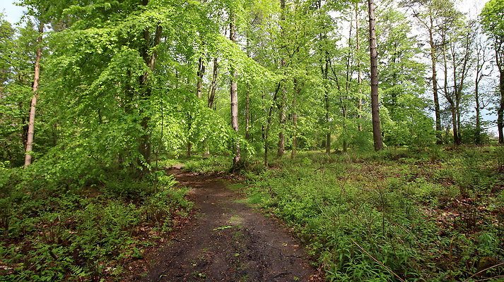 IMG 4753
