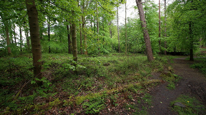 IMG 4767