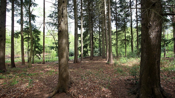 IMG 4738